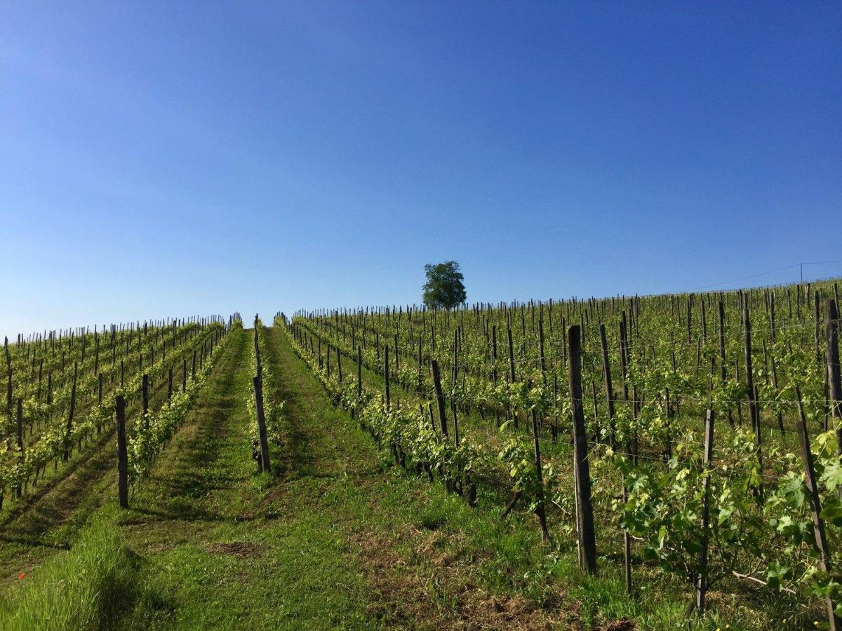 Cascina Del Rosone